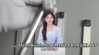 Brosse en acier pour Machine d'impression SM102 CD102 XL105 XL106 66.024.024, haute qualité